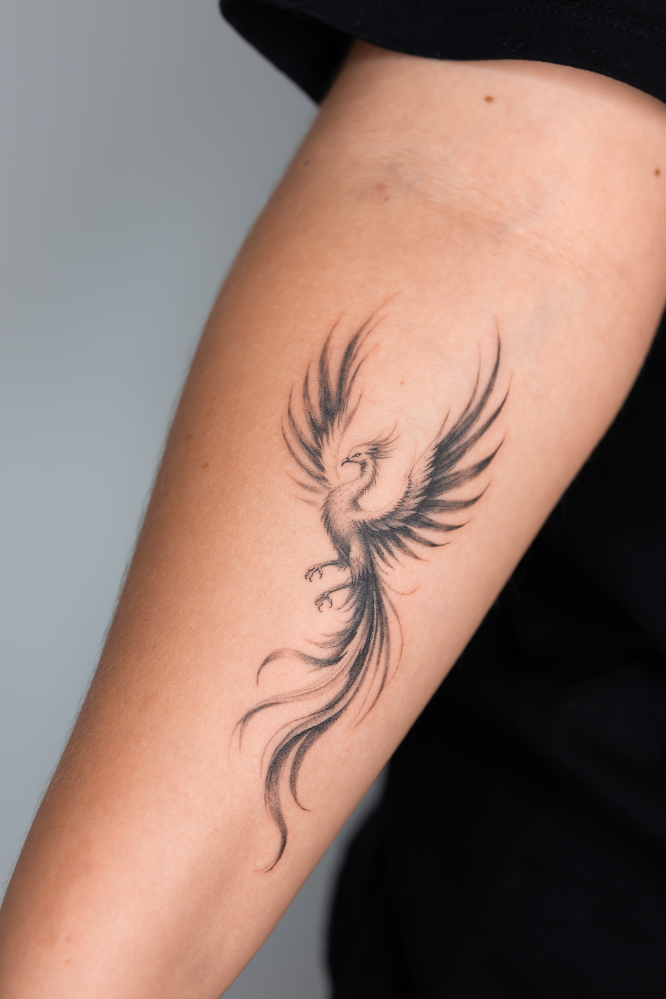 Tatouage phénix micro-réaliste en noir et gris réalisé à Combs-la-Ville